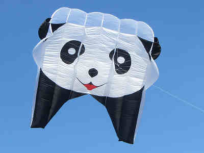 Bild "panda.jpg"